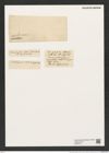 Triceratium arcticum Brightw. (de-Toni-Nr.: Genus 140, Species 3719) Zeichnungen Sammlung Grunow (NHMW-BOT-W0376197)